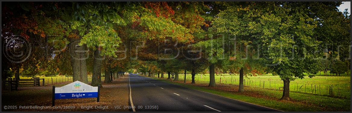 Peter Bellingham Photography Bright Delight - VIC (PBH4 00 13358)